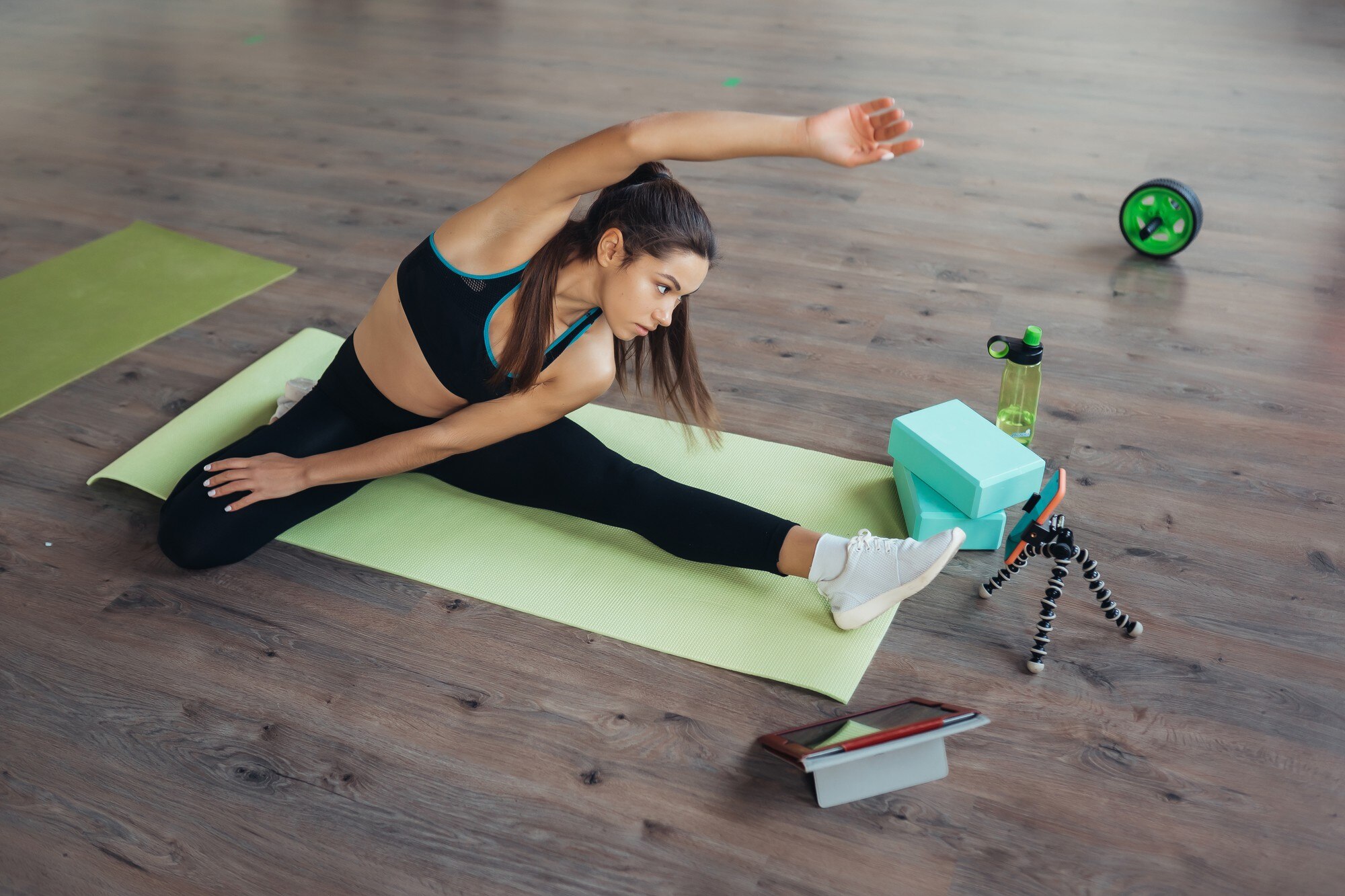 Anatomía y flexibilidad